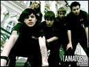 amatory